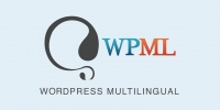 افزونه ایجاد سایت چندزبانه با وردپرس wpml